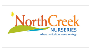 NCN Website Logo (1)